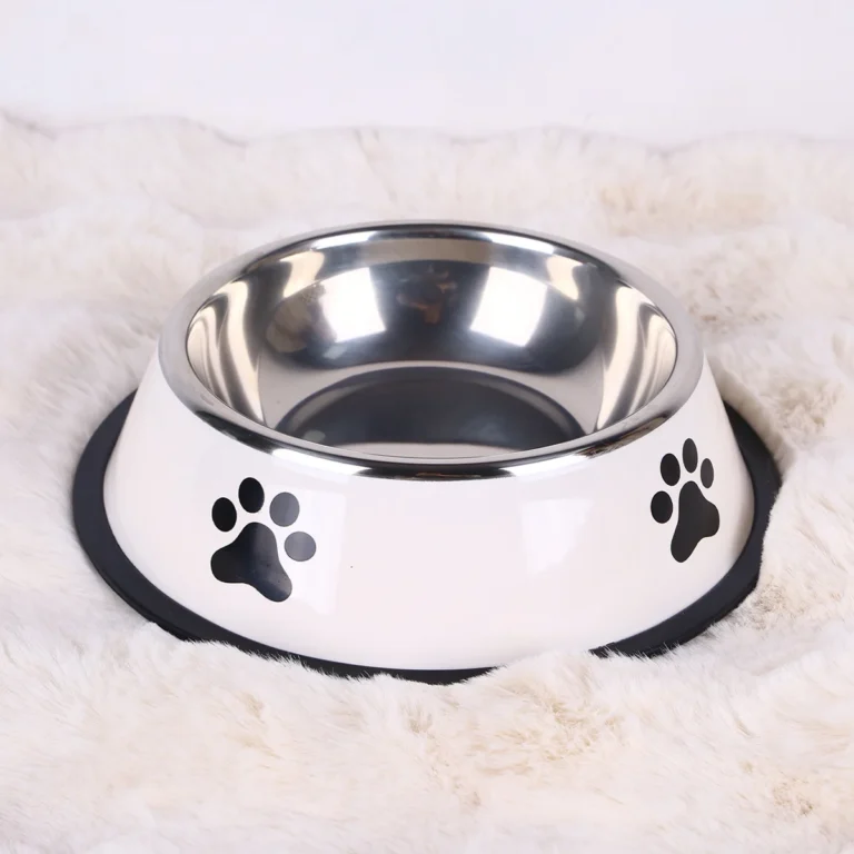 Stainless Steel Dog Bowl (Multiple Sizes)