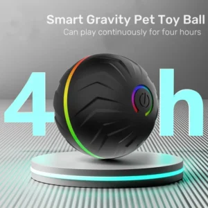 Smart Accessories