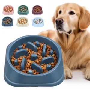 Slow feeder maze bowl for dogs to prevent fast eating