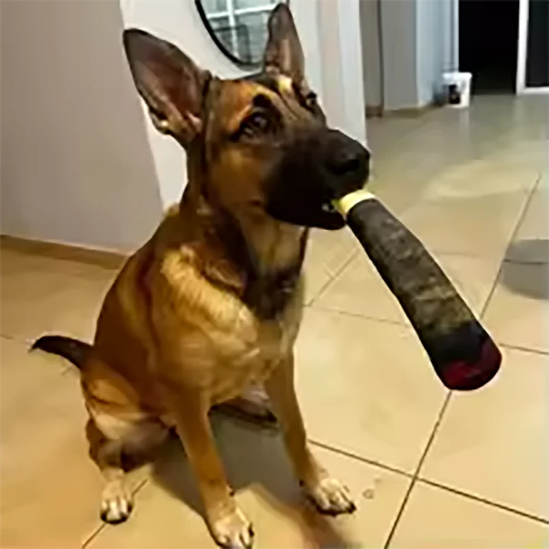 Novelty Cigar Plush Squeaky Dog Toy