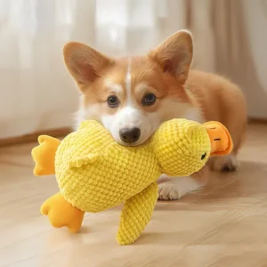 Bite-Resistant Plush Squeak Doll for Dogs