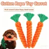 Carrot Cotton Rope Chew Toy for Small Dogs