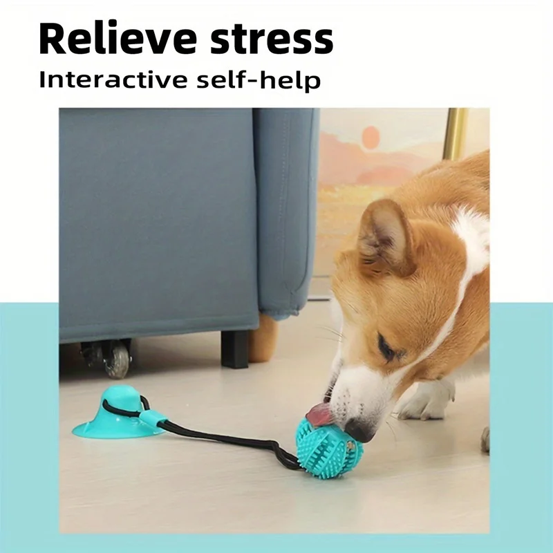 Suction Cup Treat-Dispensing Tug Toy