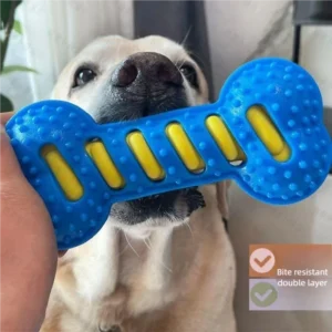 Rubber Bone Molar Stick for Dogs