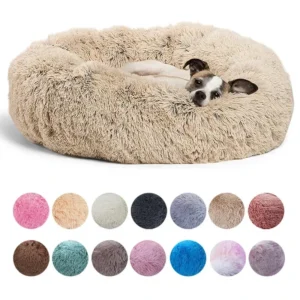 Beds & Comfort