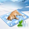 Water-Fill Ice Gel Cooling Cushion