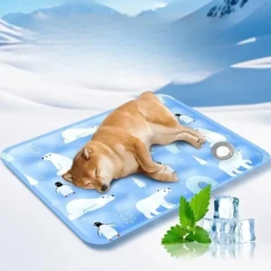 Water-Fill Ice Gel Cooling Cushion