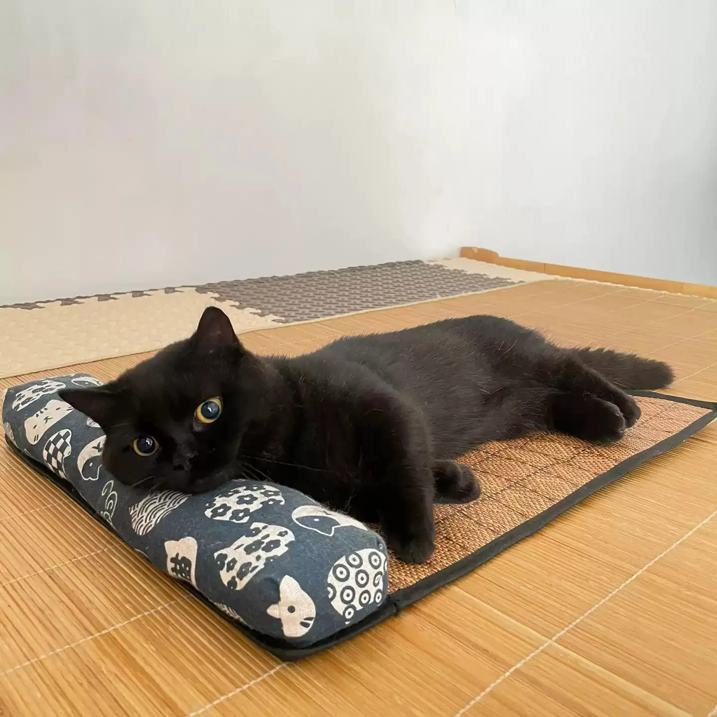 Woven Rattan Self-Cooling Mat for Dogs