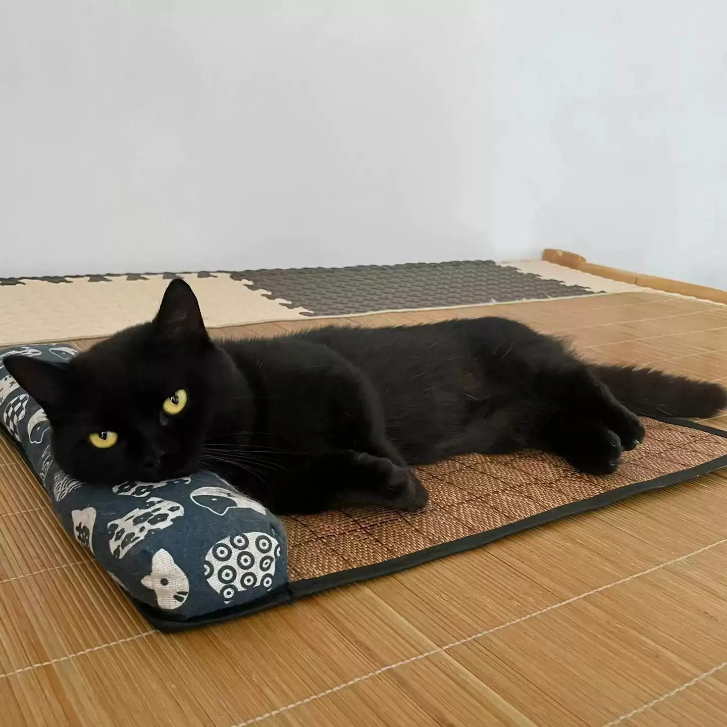Woven Rattan Self-Cooling Mat for Dogs