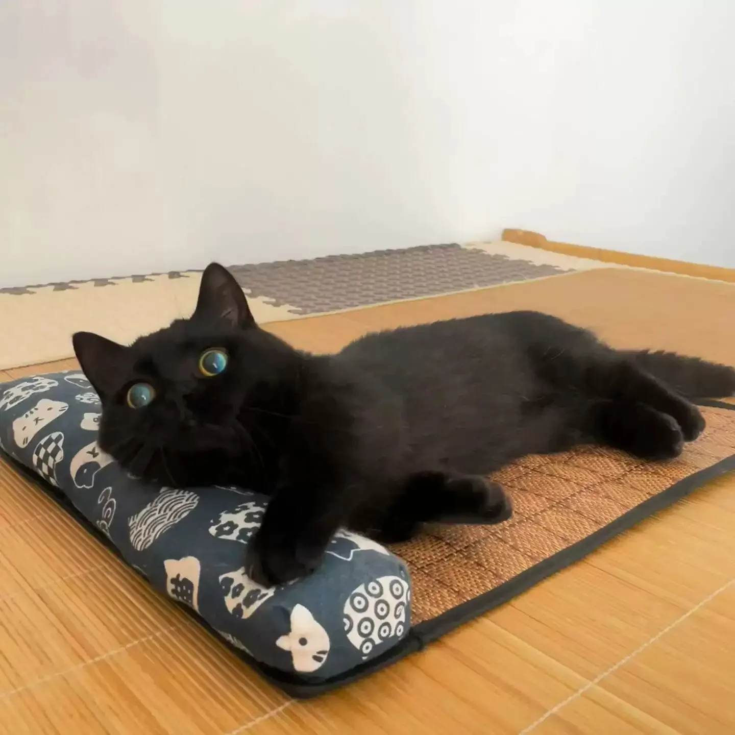 Woven Rattan Self-Cooling Mat for Dogs