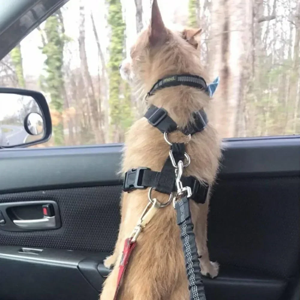 Retractable Car Seat Belt Tether for Dogs