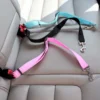Breakaway Safety Car Tether for Dogs