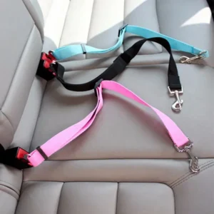 Breakaway Safety Car Tether for Dogs