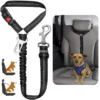 Heavy-Duty Harness and Car Belt Combination