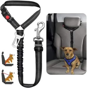 Heavy-Duty Harness and Car Belt Combination