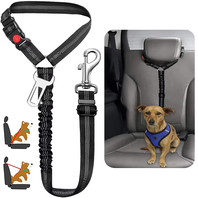 Heavy-Duty Harness and Car Belt Combination