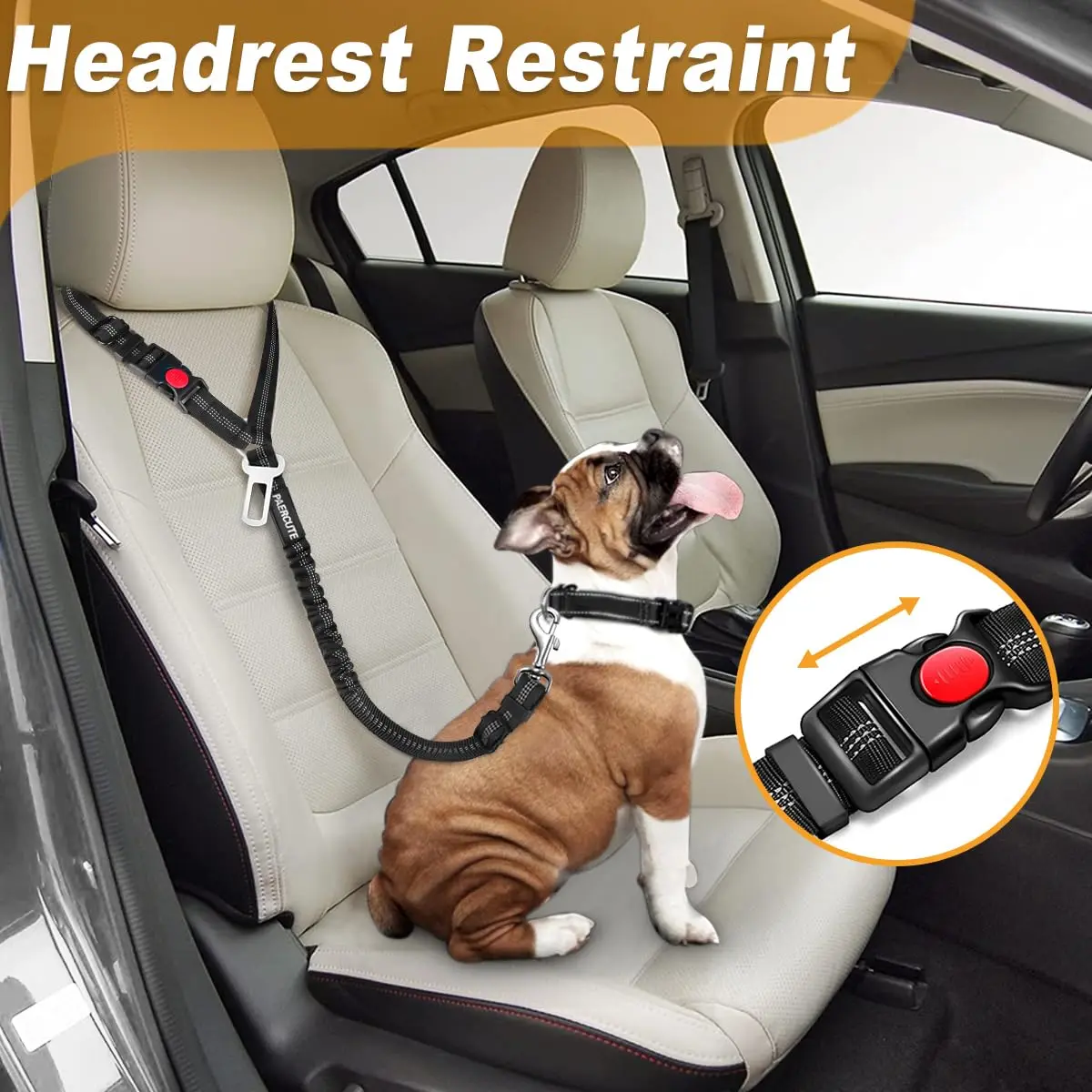 Heavy-Duty Harness and Car Belt Combination