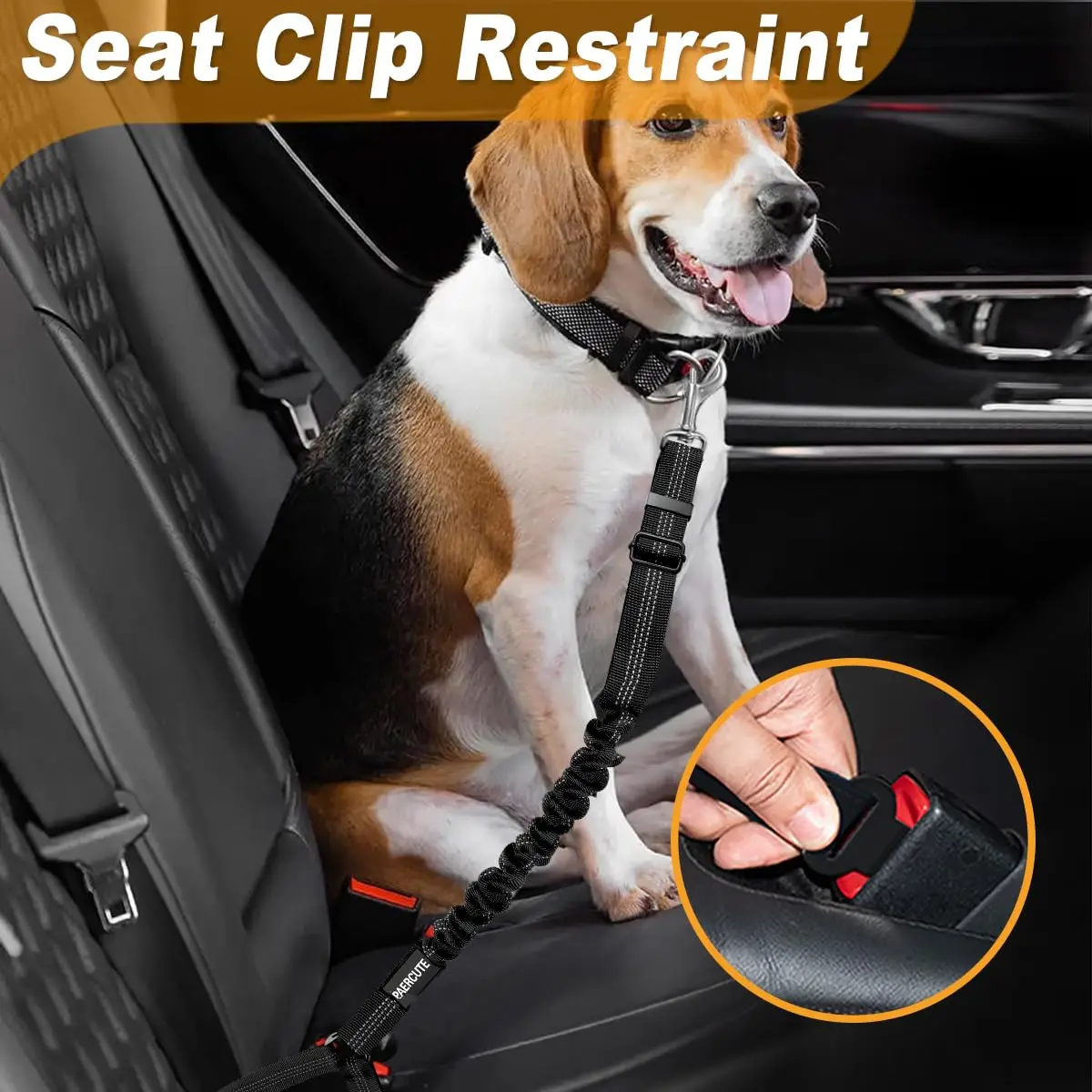 Heavy-Duty Harness and Car Belt Combination
