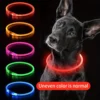 USB Rechargeable LED Light-Up Dog Collar