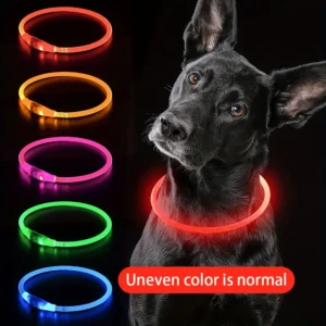 USB Rechargeable LED Light-Up Dog Collar