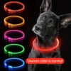Fibre Optic Glowing Dog Collar