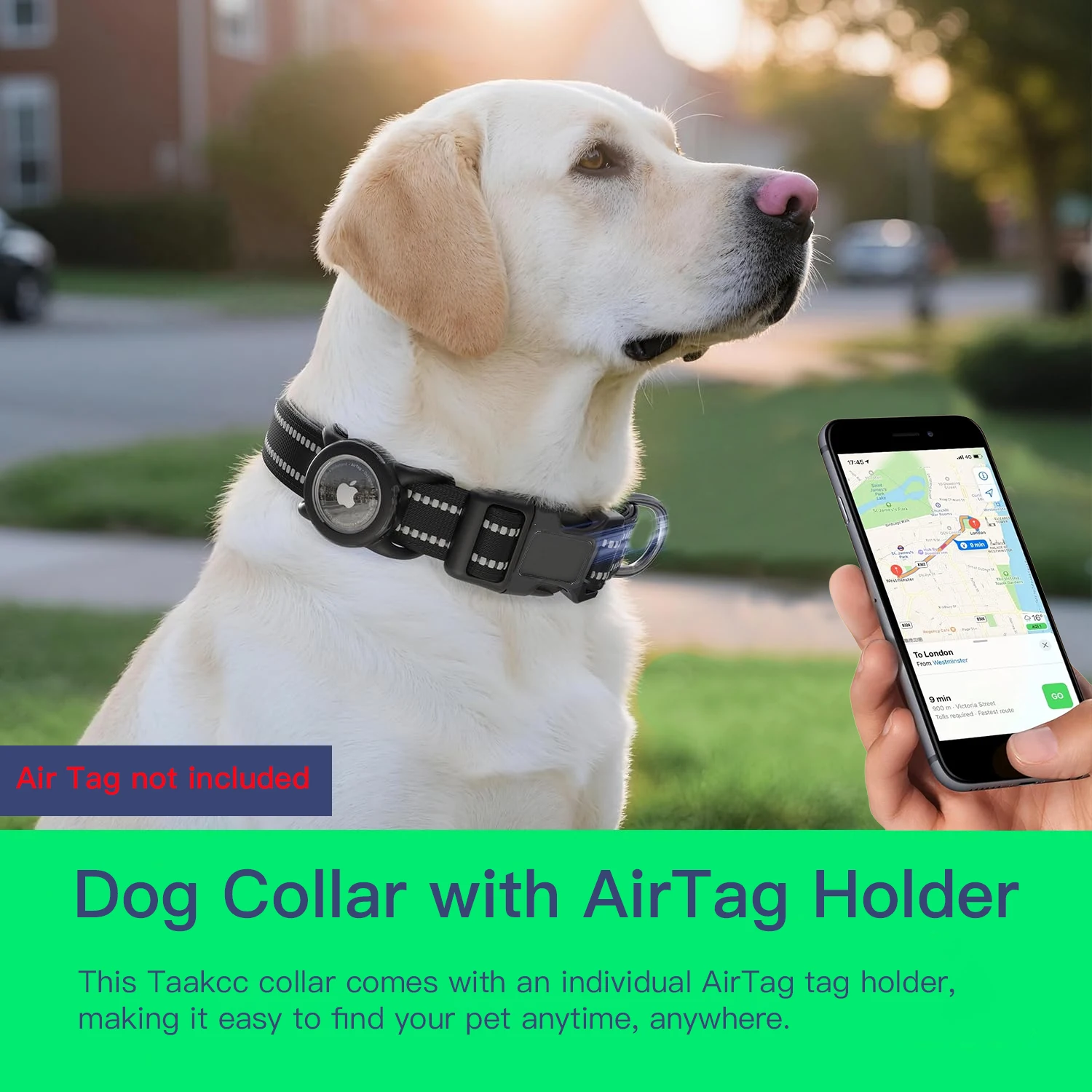 Padded AirTag Collar with Built-In Holder
