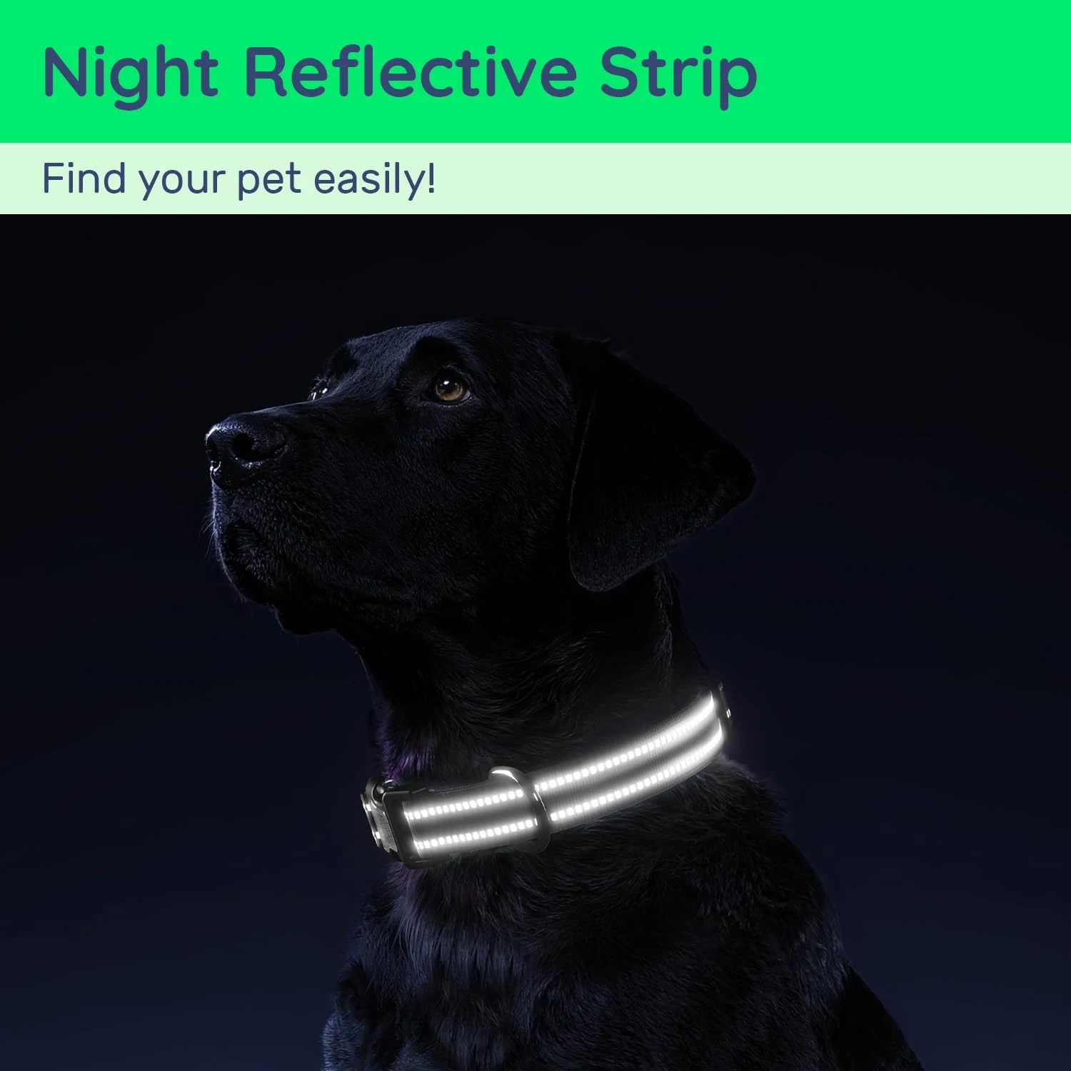 Padded AirTag Collar with Built-In Holder