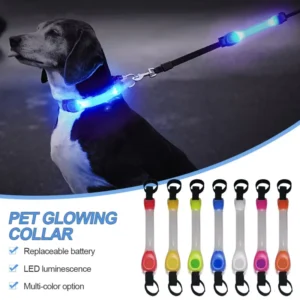 Clip-On LED Safety Pendant for Dog Collars