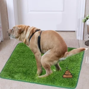 Washable Artificial Grass Toilet Mat