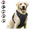 Front-Clip No-Pull Harness with Control Handle