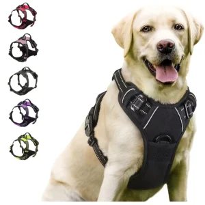 Front-Clip No-Pull Harness with Control Handle