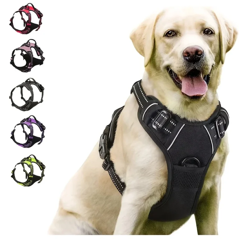 Front-Clip No-Pull Harness with Control Handle