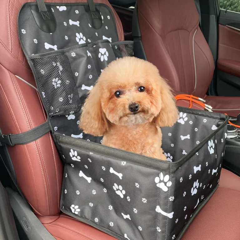 Booster Car Seat with Storage Pockets