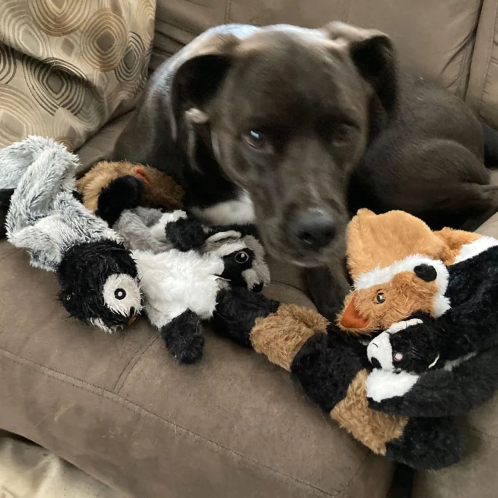 No-Stuffing Squeaky Animal Toy