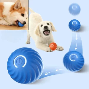 USB Rechargeable Self-Rolling Ball