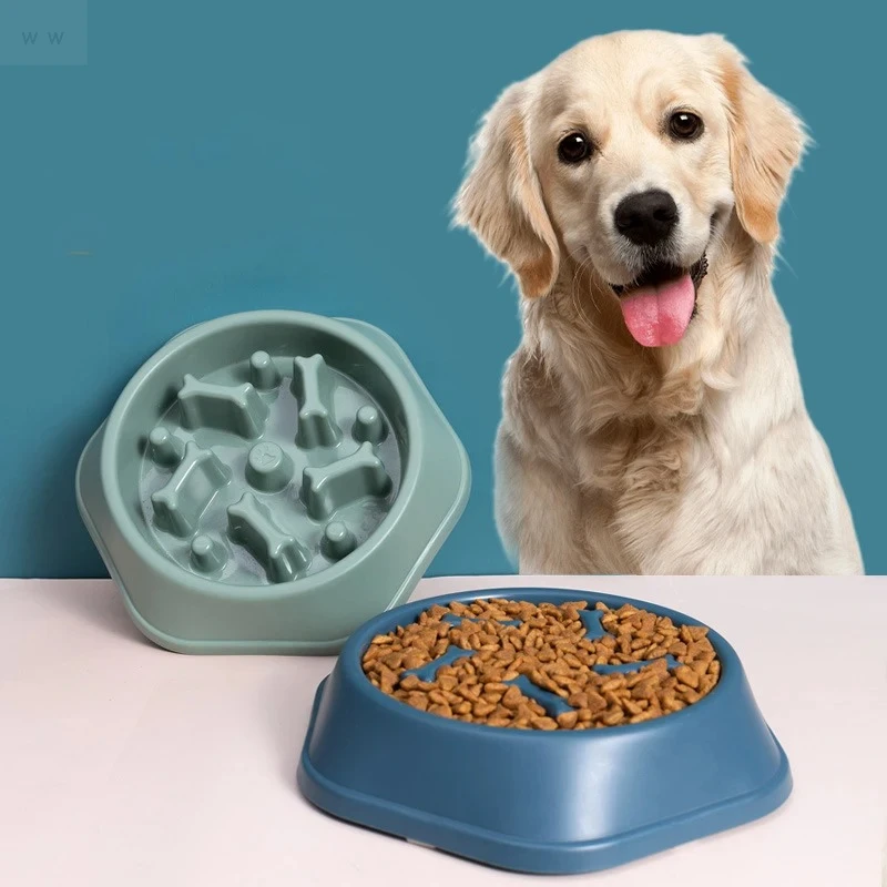 Anti-Choking Slow Feeder Dish