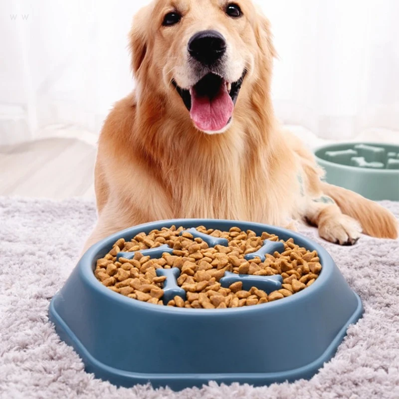 Anti-Choking Slow Feeder Dish