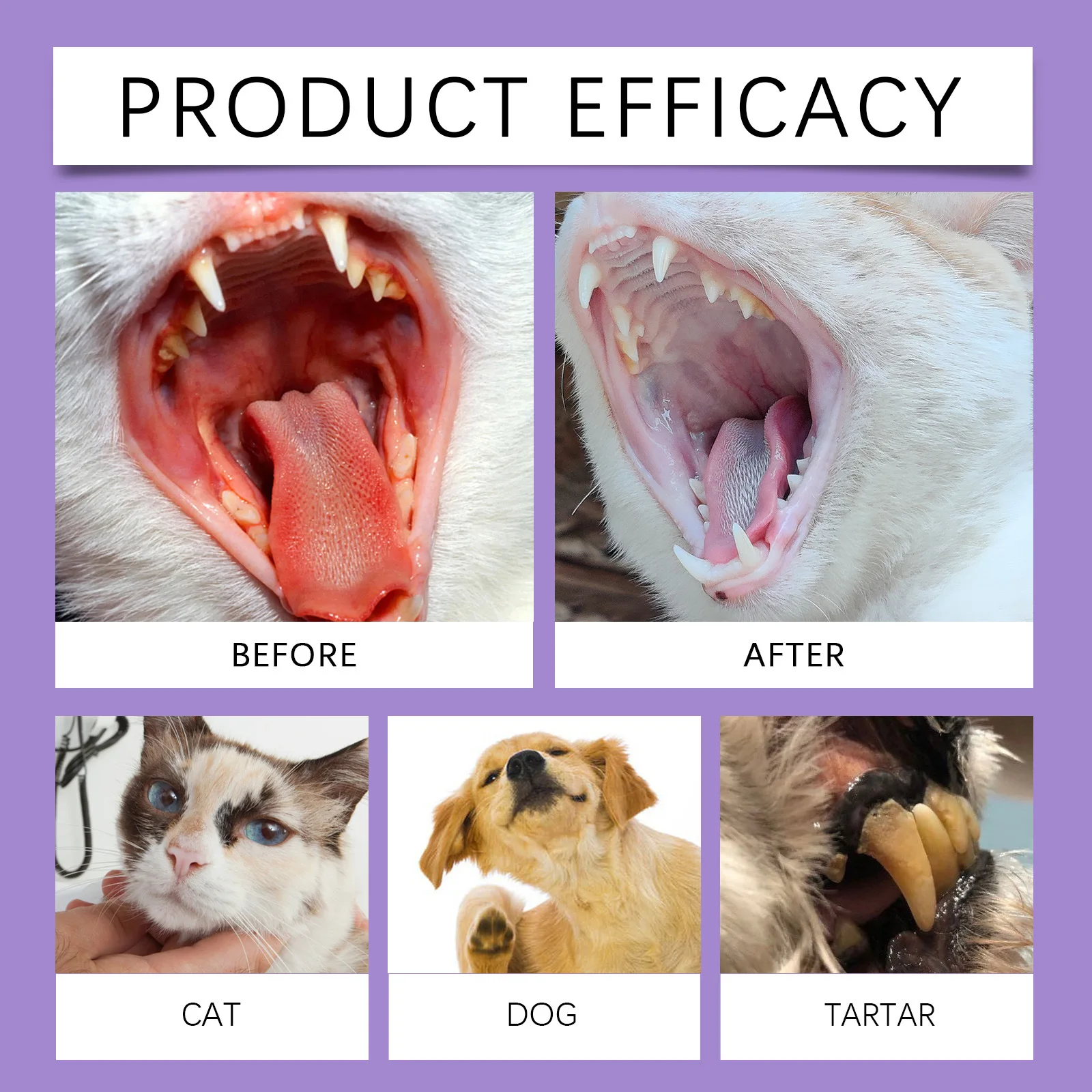 Oral Cleaning Spray for Teeth and Breath