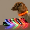 LED Light-Up Lead for Night Walks
