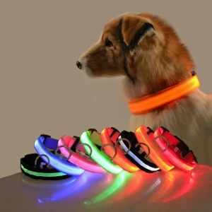 LED Light-Up Lead for Night Walks
