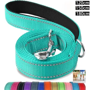 Reflective Harness and Lead Set for Night Visibility