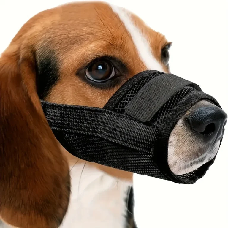 Breathable Mesh Muzzle for Vet Visits and Grooming