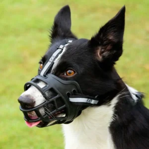 Adjustable Muzzle with Reflective Trim
