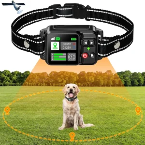 GPS Wireless Boundary System
