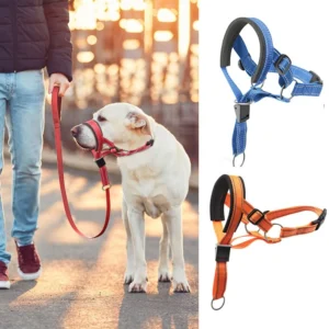 Head Halter with Nose Loop for Strong Pullers