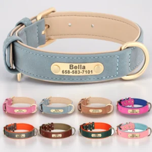 Personalised Collar with Engraved Details