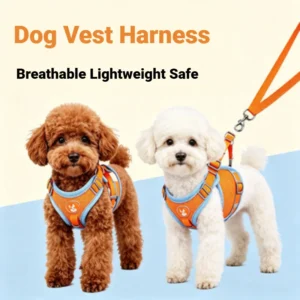 Reflective No-Pull Harness and Lead Set