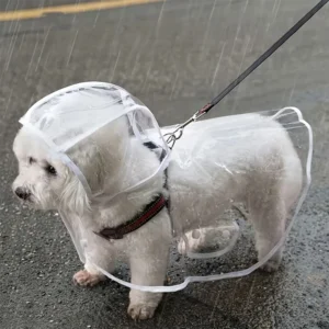 Transparent Hooded Raincoat