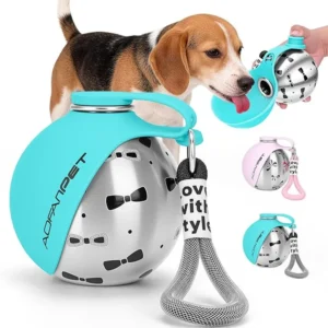 Stainless Steel Travel Water Bottle with Bowl